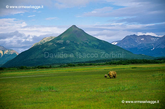 Katmai 73-8-07